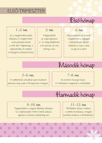 Napló a babavárás 9 hónapjáról