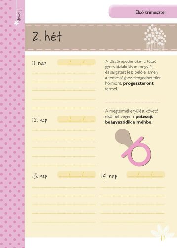 Napló a babavárás 9 hónapjáról