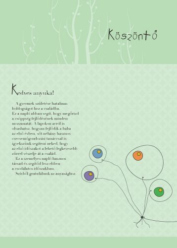 Napló a babám első évéről (lányos)