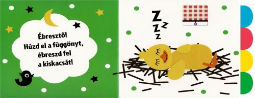 Húzd ki és nézd meg! - Kiskacsa táncol