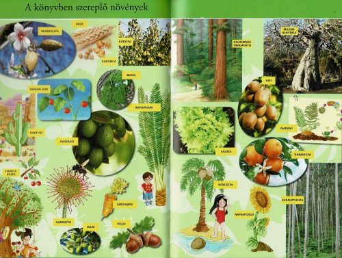 Olvass velünk! (2) - A növények titkai