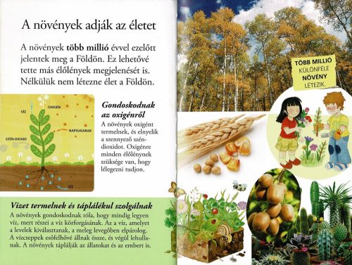Olvass velünk! (2) - A növények titkai