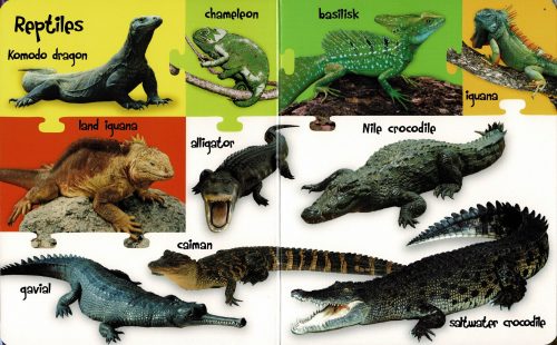 My First 100 Words - Wild Animals