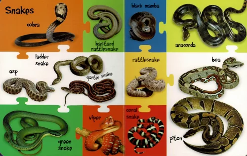 My First 100 Words - Wild Animals