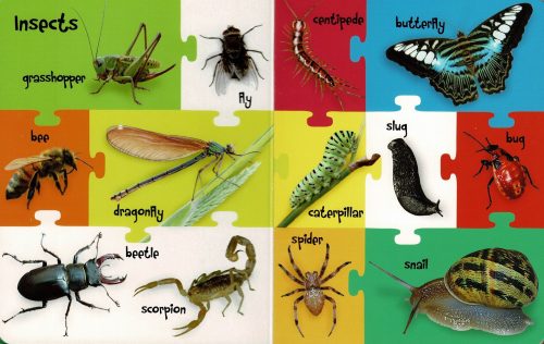 My First 100 Words - Farm and Field Animals