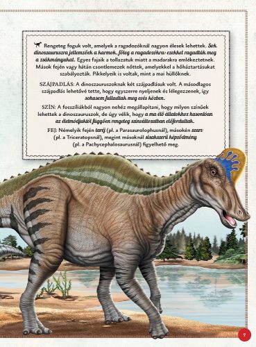 Varázslatos útmutató a dinoszauruszokhoz