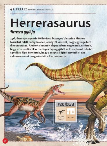 Varázslatos útmutató a dinoszauruszokhoz