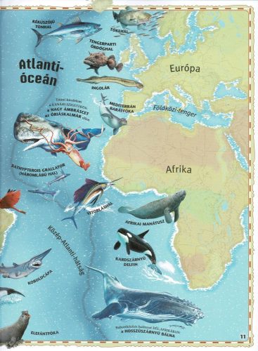 Atlasz az óceánokról