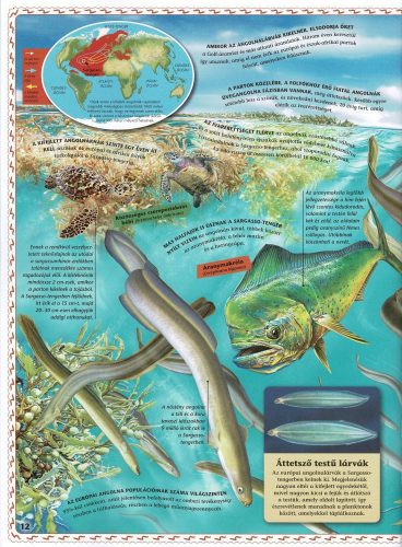 Atlasz az óceánokról