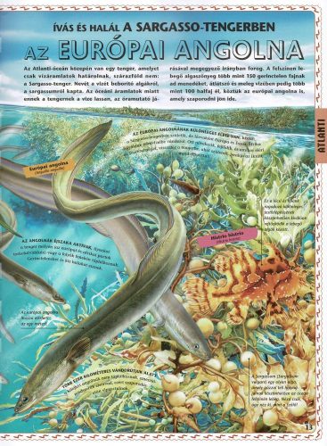 Atlasz az óceánokról