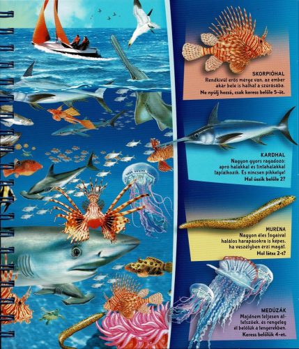 Nagyítóval - A tenger alatt