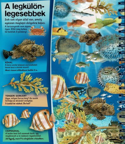 Nagyítóval - A tenger alatt