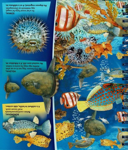 Nagyítóval - A tenger alatt