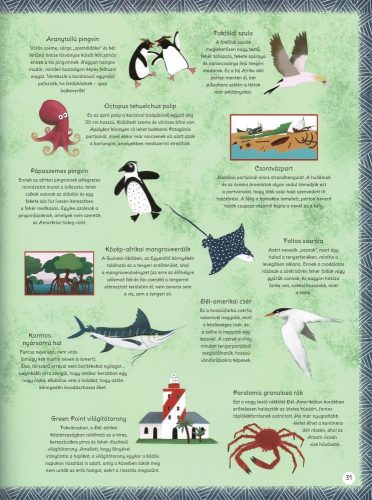 Kalandozás a világ tengerein és óceánjain