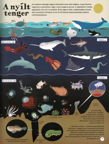 Kalandozás a világ tengerein és óceánjain