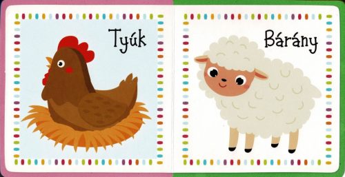 A kicsik első könyve - A háziállatokról