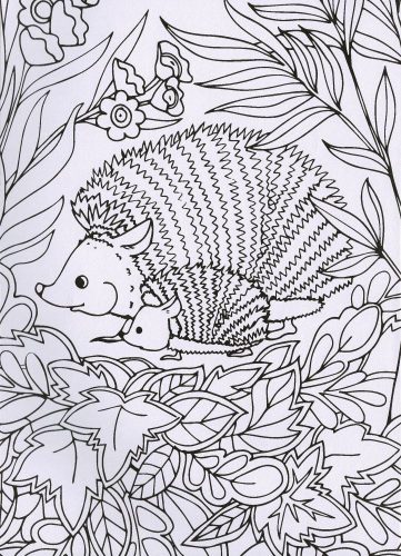 Kifestőfüzet felnőtteknek - Csodálatos állatok