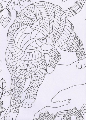 Kifestőfüzet felnőtteknek - Csodálatos állatok