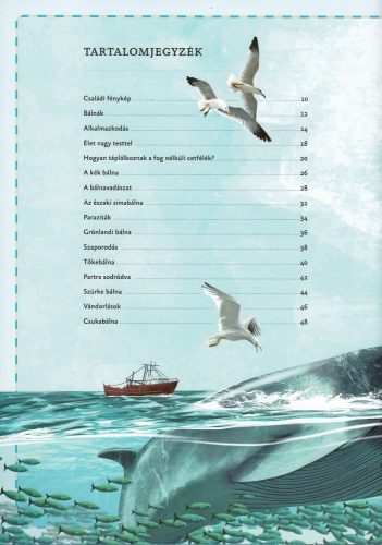 Varázslatos útmutató a bálnákhoz