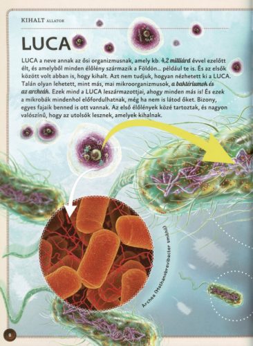 Varázslatos útmutató a kihalt állatokhoz