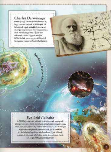 Varázslatos útmutató a kihalt állatokhoz