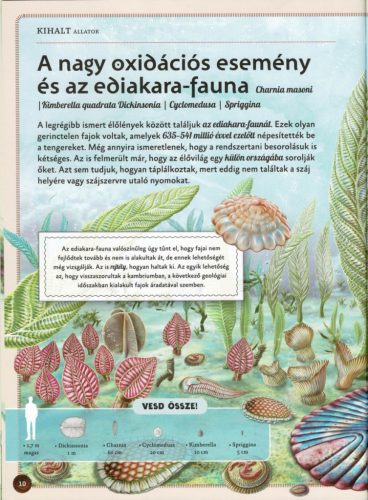 Varázslatos útmutató a kihalt állatokhoz