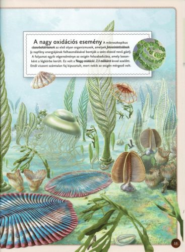 Varázslatos útmutató a kihalt állatokhoz