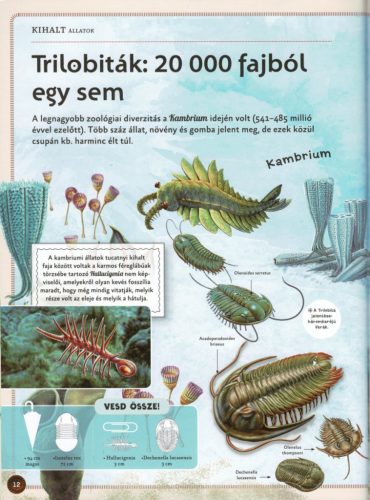 Varázslatos útmutató a kihalt állatokhoz