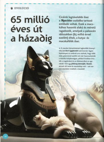 Varázslatos útmutató a macskákhoz