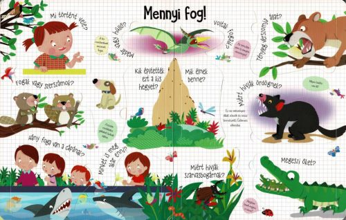 Nyisd ki és fedezd fel - Az állatok