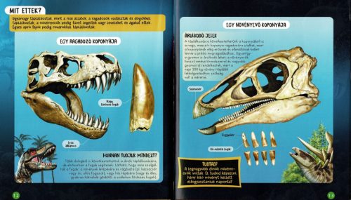 Nézd meg belülről - Dinók