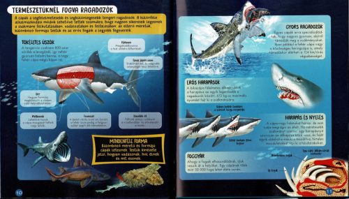 Nézd meg belülről - Cápák