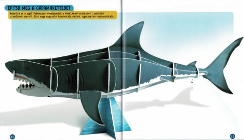 Nézd meg belülről - Cápák