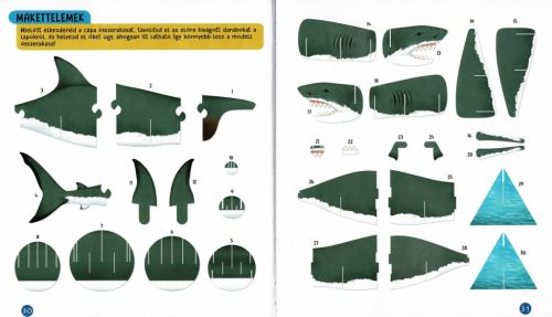 Nézd meg belülről - Cápák