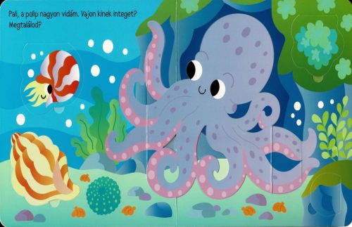 Ki bújt el? Tengeri állatok