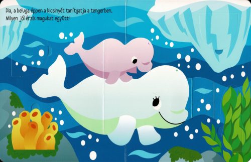 Ki bújt el? Bálnák