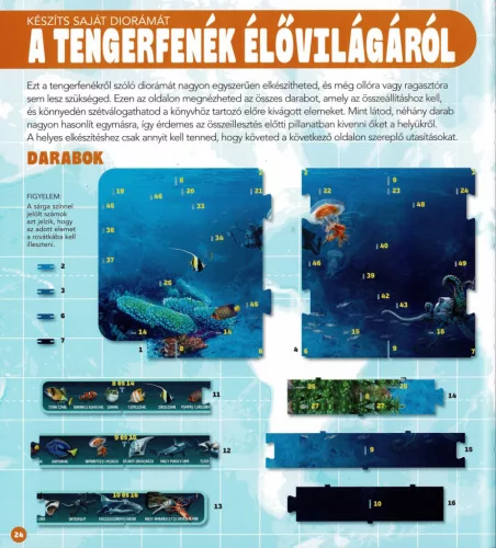 Dioráma - Tengeri állatvilág