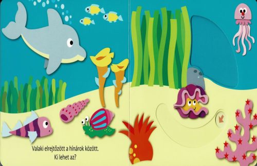 Hová bújtam? Tengeri állatok