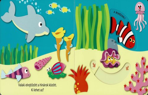 Hová bújtam? Tengeri állatok