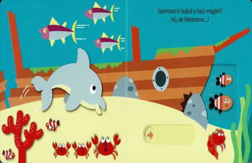 Hová bújtam? Tengeri állatok