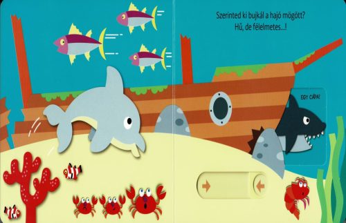 Hová bújtam? Tengeri állatok
