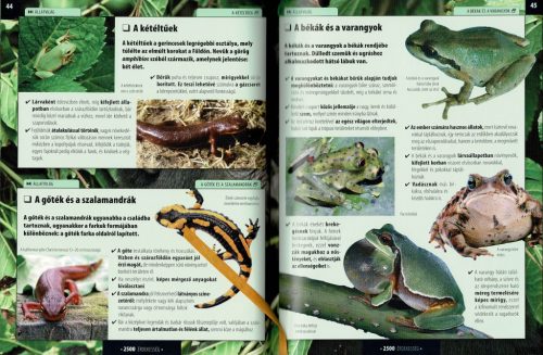 Olvassatok velünk! - 2500 érdekesség