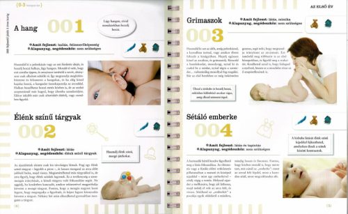 Neveljünk egészséges gyereket - 365 fejlesztő játék 3 éves korig (ÚJ)