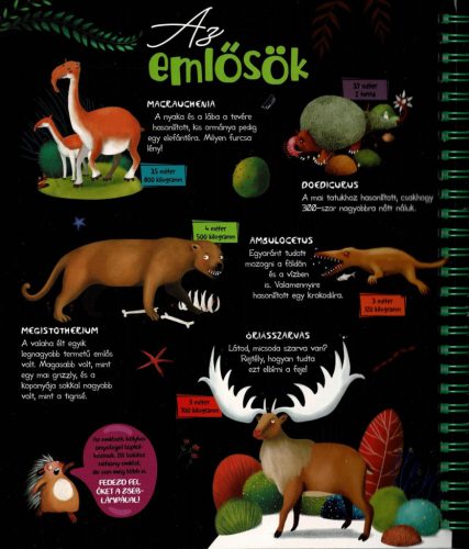 Csodalámpa - Ősállatok
