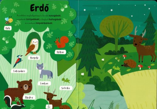 Első állathangjaim - angol-magyar hangmodulos könyv