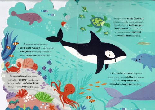 Első állathangjaim - angol-magyar hangmodulos könyv