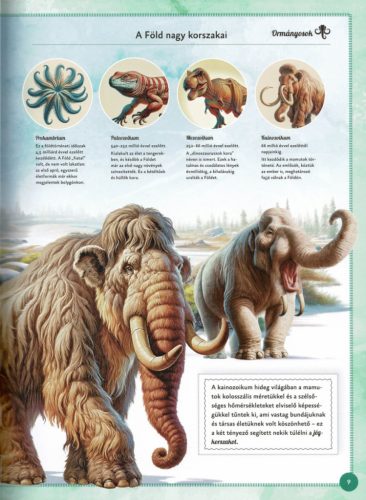 Varázslatos útmutató a mamutokhoz