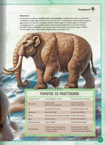 Varázslatos útmutató a mamutokhoz