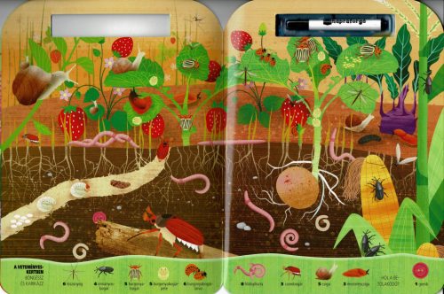 Böngéssz és karikázz! - Bogarak