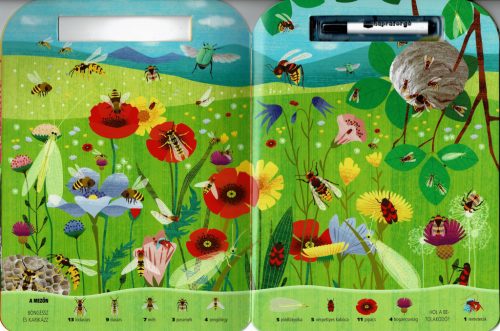 Böngéssz és karikázz! - Bogarak